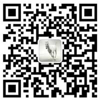 高压电机维修厂_电机换绕组修理_电机大修_防爆电机维修_陕西卧龙南阳防爆电机维修厂
