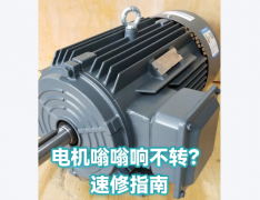 维修师傅教你：电机嗡嗡响怎么一步