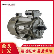 YBX5防爆电机在连续工况中表现稳定