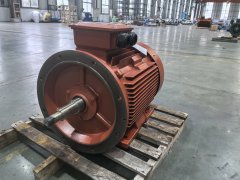 电机故障维修不能只看表面问题