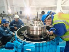 电厂大型双速立式循环水泵电机现场检修